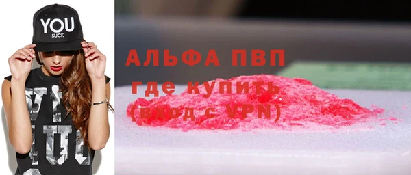 стафф Дмитров