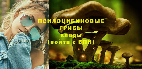 стаф Гусь-Хрустальный