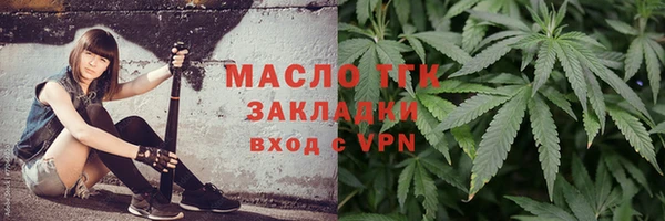 стаф Гусь-Хрустальный