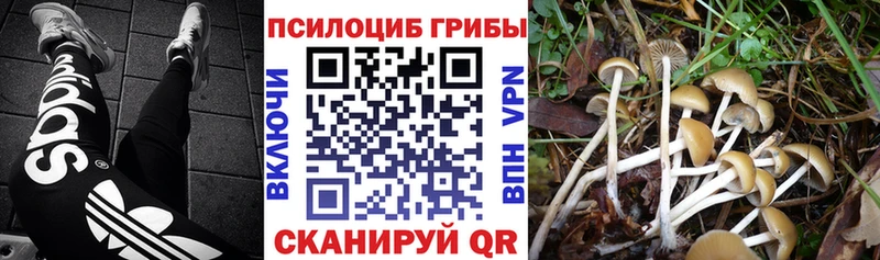 Галлюциногенные грибы GOLDEN TEACHER  Губкин 